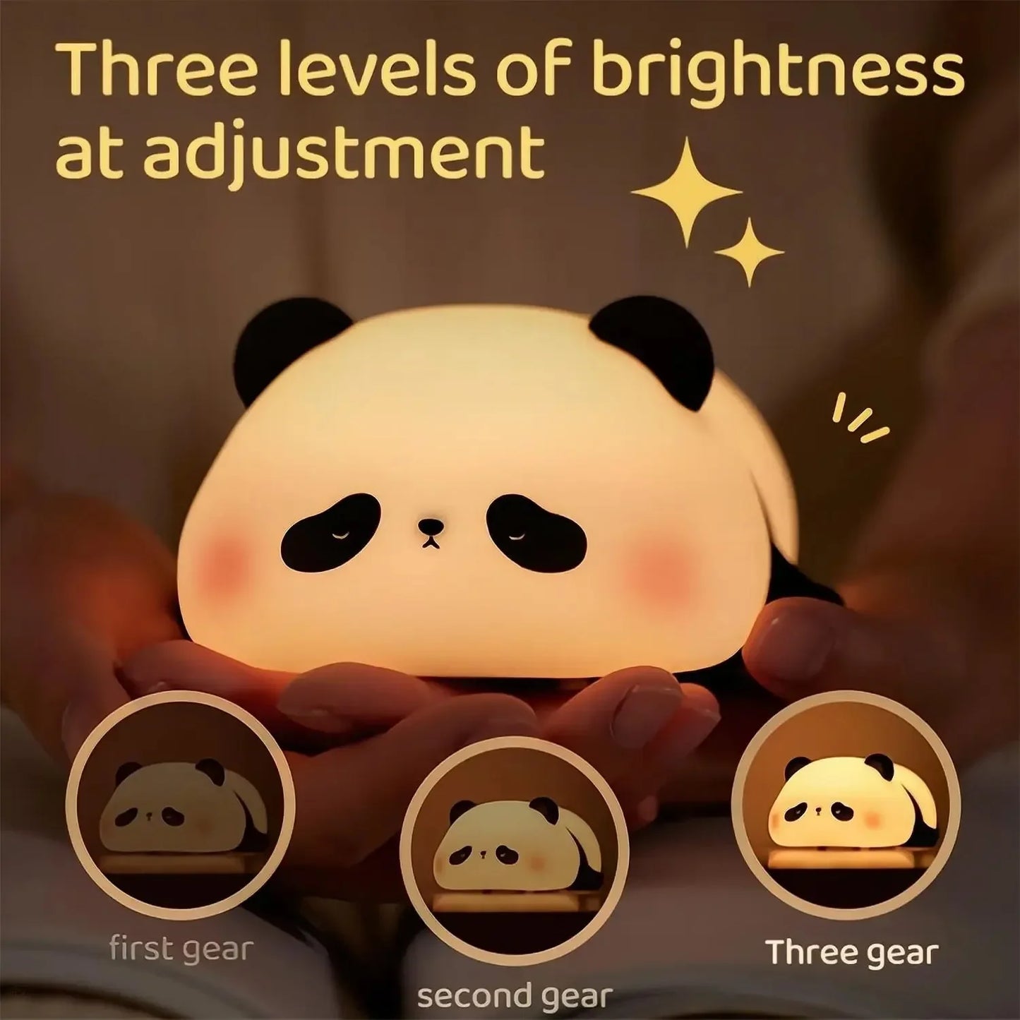 Dame luz!: Pandita iluminador