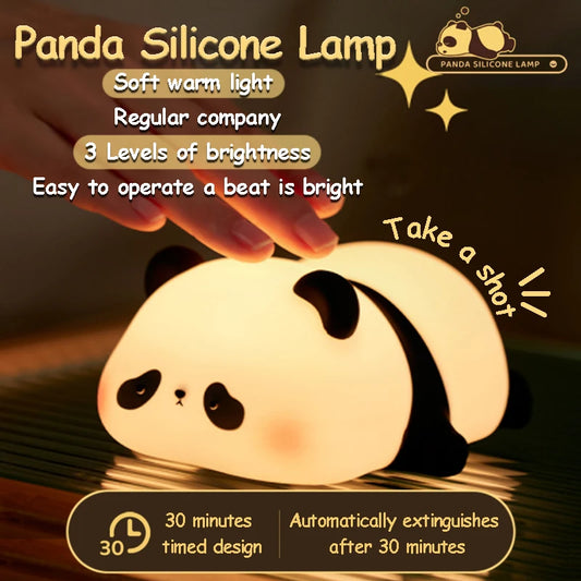 Dame luz!: Pandita iluminador
